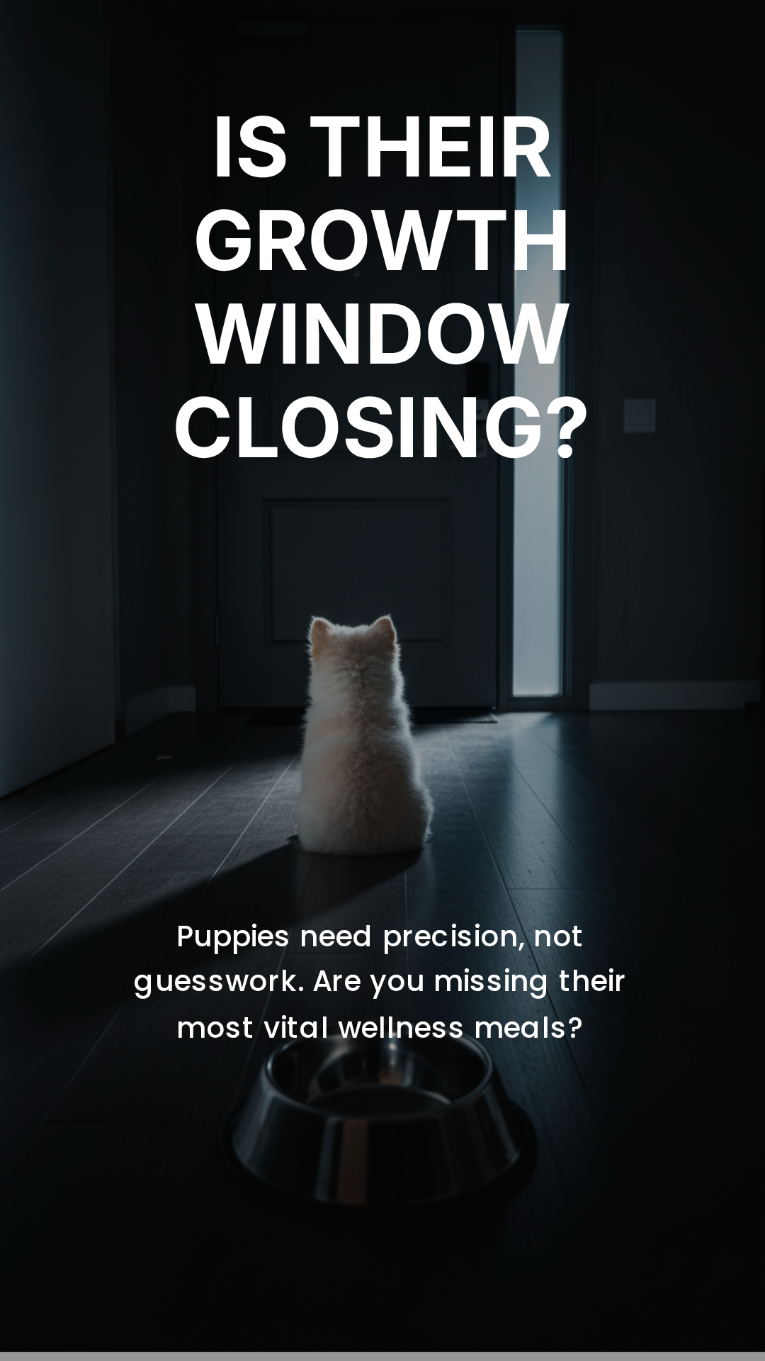 Furixa Automatic Pet Feeder™